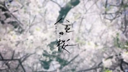 大河剧《八重之樱》观剧指南—德川宗家与亲藩的关系说明 大河剧德川庆喜百度