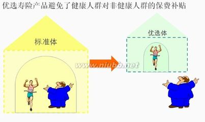 消费型寿险和大病首选产品————人民人寿精选优选 精心优选定期寿险