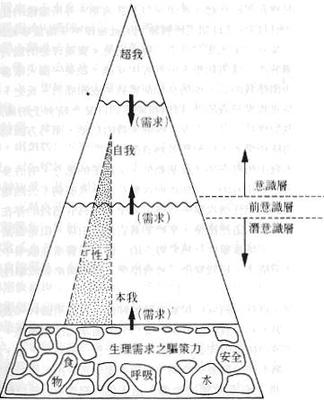 弗洛伊德力比多理论解析自我(精神分析学) 弗洛伊德梦的解析