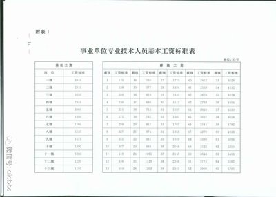 网传国办发[2015]3号 调整机关事业单位工作人员基本工资标准和增 机关事业单位工资调整