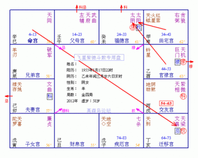 逆水忌 紫微斗数入库忌