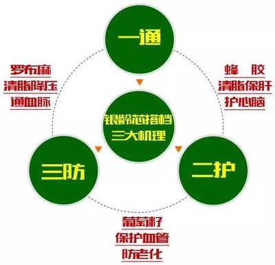 罗布麻茶的副作用 银杏叶片的功效与作用