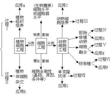 作物杂交育种、单倍体育种所需年限分析 单倍体育种实例