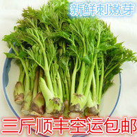 常见野菜种类吃法 野菜老牛错吃法