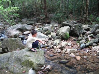 从化流溪河森林公园之三桠塘幽谷 从化流溪河