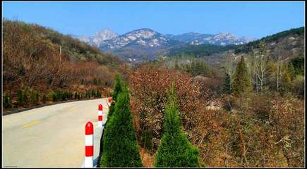 淄博鲁山国家森林公园导游词 博山鲁山森林公园