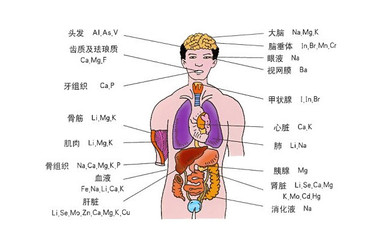 呼吸系统疾病记忆歌诀呼吸系统疾病苗圃医学社区9 a! W7 I: w1 T$ 呼吸系统疾病