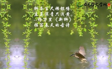 描写春雨的优美句子 描写春雨的句子佳句