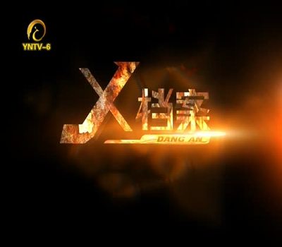 X档案（1993年大卫·杜楚尼主演美国电视剧） x档案主演矛盾