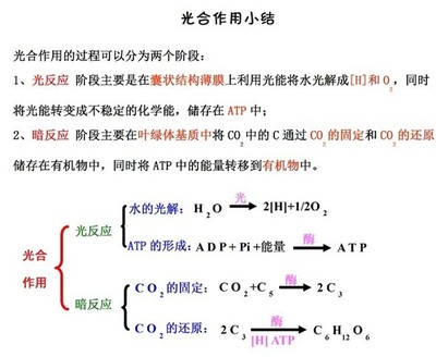 初中生物会考知识点汇总 福建省有哪些少数民族