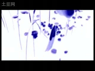 青花瓷MV之水墨动画版 水墨动画