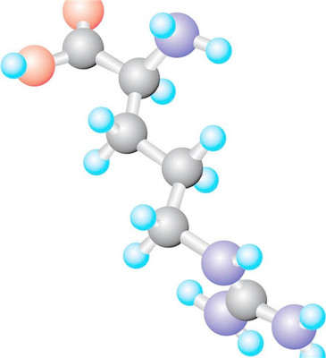 各种氨基酸的作用 氨基酸的作用