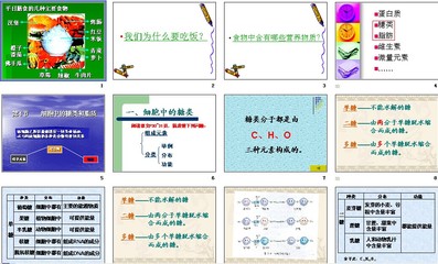 第二章第四节细胞中的糖类和脂质 细胞的糖类和脂质