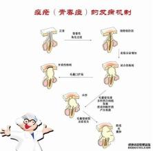  品德合格方面原因剖析 中药“被无效”的原因剖析