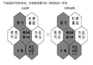  擦亮民政新品牌 品牌延伸还是发展新品牌