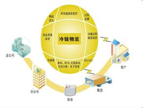  五力分析花卉种子行业 中国花卉物流行业发展分析