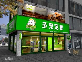  过年摆地摊赚10万 开个宠物食品店