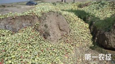  里约奥运门票滞销 让“滞销烟”不滞销