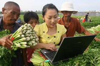  七彩戏剧网上在线直播 王贺：法学毕业生转干农业活 网上卖七彩甘薯