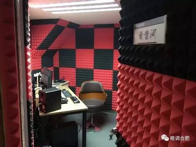  粉红大布娃娃连衣裙 音乐老师辞职专做布娃娃 品牌经营多“栖”发展