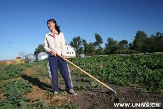  冒险岛2韩服新职业 李书福新冒险(2)