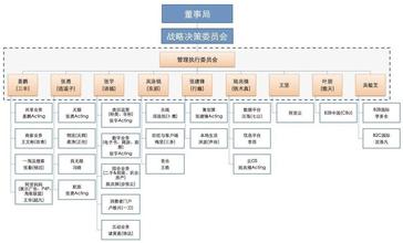  分析：马云和史玉柱的孔雀型领导风格