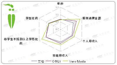  ip精准定位 网购服装渐成气候 服装品牌需精准定位