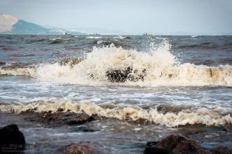  海尔后浪推前浪：张瑞敏的后浪在哪里?