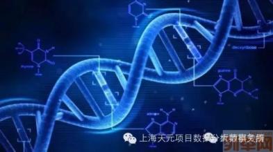  找准自己的位置 鞋业内销品牌启动找准DNA