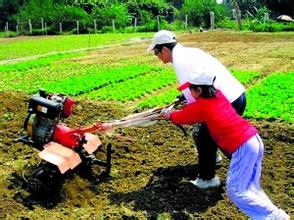  种植户施肥的利益需求 运动休闲品牌 需“先除草 再施肥”