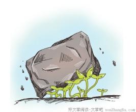  做些什么生意 服装业：逆境当前 还能做些什么？