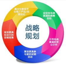  苏宁品牌提升策略 提升品牌之集中优势策略