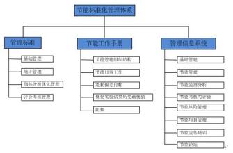  企业标准化管理体系 野豹公司建立标准化管理体系