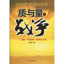  质与量的战争 pdf 《质与量的战争》引子