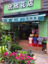  深圳花店送花服务 花店大有可为的“店外”服务