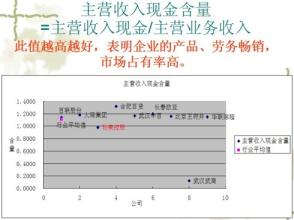  董事长总经理财务权限 《公司财务分析》第1章　06 董事报告