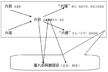  富N代：指向共富社会的正向循环