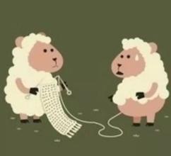  羊毛出在猪身上熊买单 创业，你看哪个羊毛出在猪身上了？