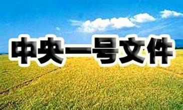  今年一号文件：农业现代化必须“接二连三”