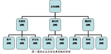  品牌发展战略规划书 企业发展战略即品牌模式的选择