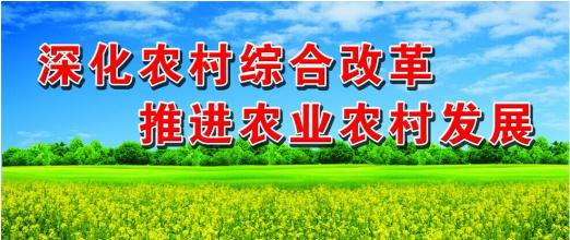  农村土地制度改革 农村土地制度改革依旧是难关