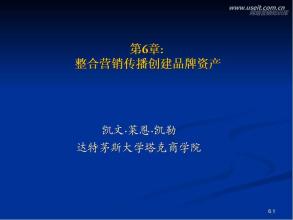  整合营销传播案例分析 谈整合营销传播创建品牌资产