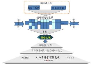  战略家的思想 从思想管理入手，实现战略控制力