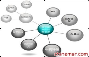  中医药发展战略规划 集团医药企业战略规划解决方案