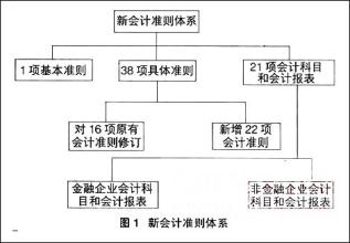  人民币国际化问题对策 我国目前会计准则国际化中存在的问题及对策