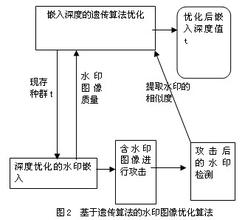  遗传算法优化神经网络 基于遗传算法的供应链质量成本优化