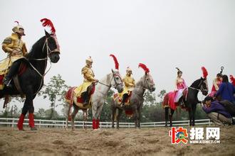  成都非遗文化采耳技艺 “关中传统驯马技艺”入选陕西非遗名录