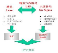  精益六西格玛黑带 什么是精益六西格玛