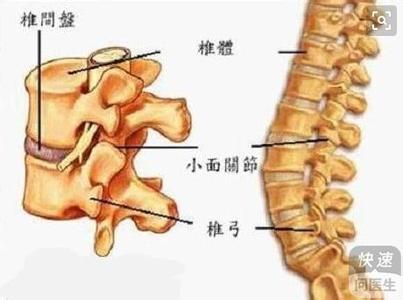  肌肉耐力和爆发力 近代国家的“爆发肌”