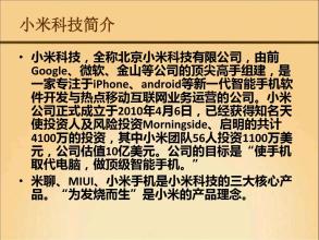  传统小米面做法 小米给传统企业的六条启示